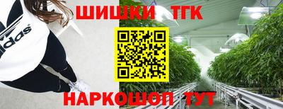 дмт Бийск