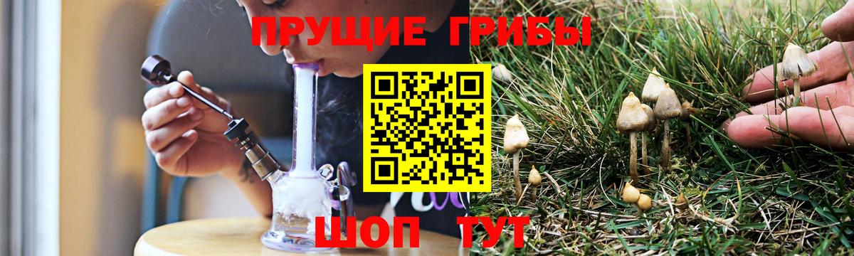 Псилоцибиновые грибы GOLDEN TEACHER  Псилоцибиновые грибы MAGIC MUSHROOMS  Вход с VPN  Воткинск 
