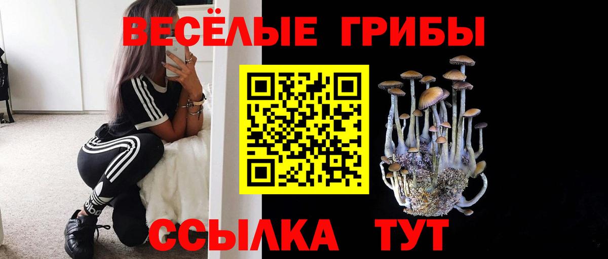 Псилоцибиновые грибы Magic Shrooms Воткинск